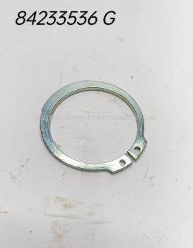 84233536  (CNH)  CLIP  -  A55MM