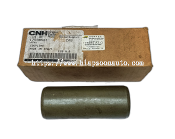 175985 A1   COUPLING  -  DRIVE  ( CNH )