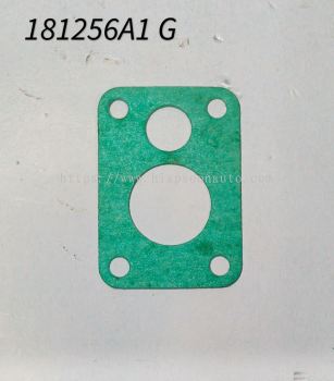 181256A1  GASKET  ( CNH )