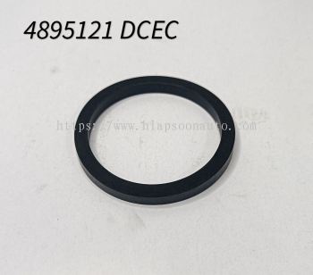 4895121 SEAL RING (DCEC)