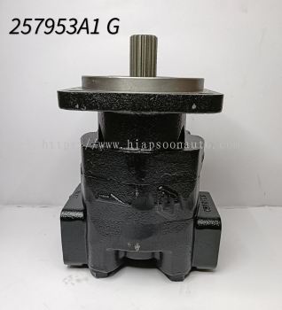 257953 A1 ( CNH )  HYD  PUMP