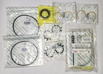 580 L , L2 HYDRAULIC PUMP  SEAL KIT  ( CNH ) 