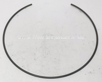 100559A1   RING   ( CARRARO )