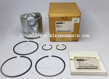 J 802747  PISTON  KIT - (CNH)