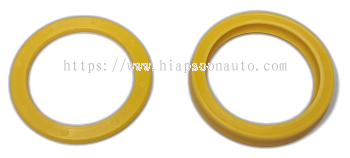 1542876C1  ( CNH )  SEAL  &  BUFFER