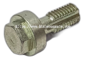 4894218  SCREW OIL JET  ( CNH )