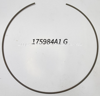 175984A1  RING - LOCK  ( CNH )