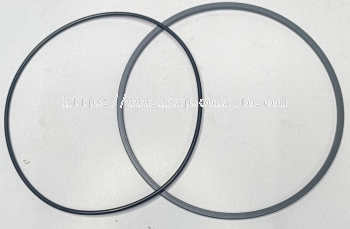 358643 A1   SEAL   RING   ( CNH )