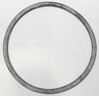 D 50077  SEAL  RING  ( CNH)