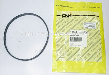 J 912473  SEAL  RING  (CNH)