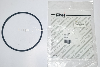 L 30487  SEAL  RING   (CNH)