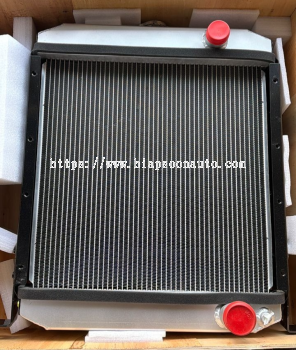 A 171356  RADIATOR ASSY