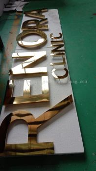 Renora Clinic stainless steel gold led backlit lettering logo signage signboard at Cheras