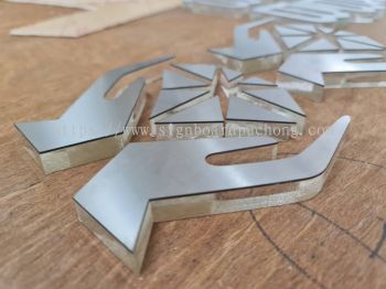 acrylic laser cut out 3d logo with stainless steel silver hairline face signage