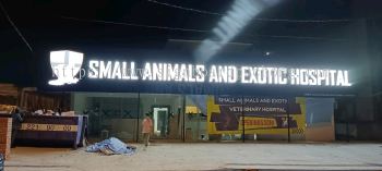 Small Animals And Exotic Aluminium Ceiling Trim Base With 3D LED Frontlit Lettering Logo Signage At Bangsar Kuala Lumpur 