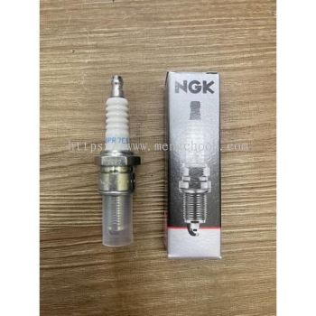 Spark Plug