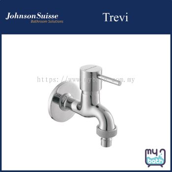 Johnson Suisse WBFA300661CP Trevi Hose Bib Tap