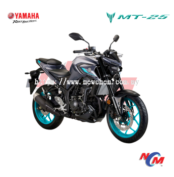 Yamaha MT-25