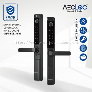 Aegloc AEG-SDL-A80 Digital Lock