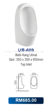 Saniware Wall-Hung Urinal 609