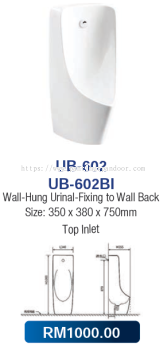 Saniware Wall-Hung Urinal 602