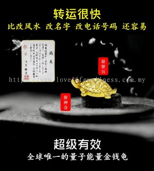 Abundance Gold Turtle 招财丰盛金龟