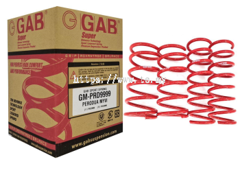 GAB Sports Coil Springs