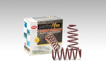 APM Sports Coil Springs