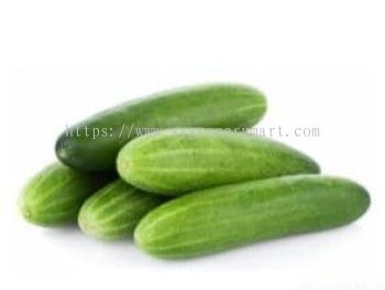 Cucumber