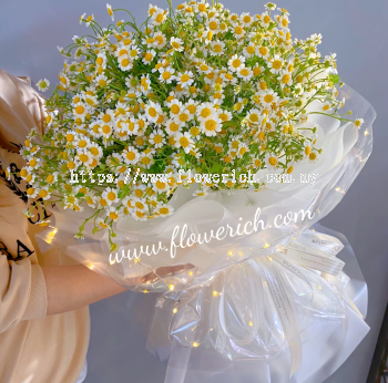 CHAMOMILE BOUQUET 1008