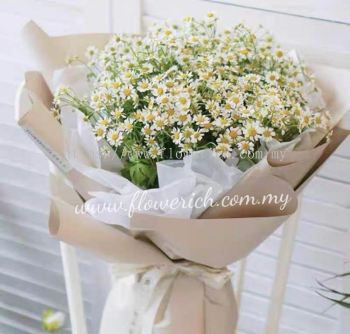 CHAMOMILE BOUQUET 1003