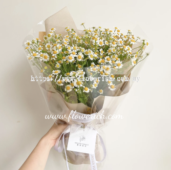 CHAMOMILE BOUQUET 1005