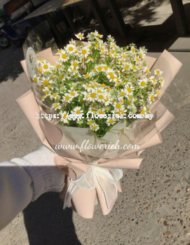 CHAMOMILE BOUQUET 1007