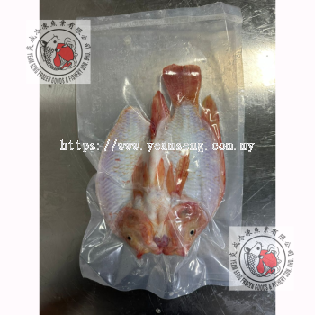 Tilapia Butterfly (Stomach Cut)