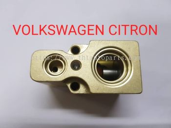 VOLKSWAGEN BEETLE GOLF MK4 CITRON XANTIA A/C EXPANSION VALVE OE NB 6N0820679 521965 90