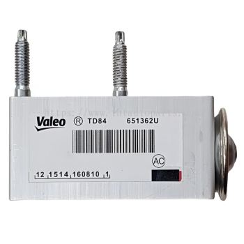 CITRON C3 C4 DS4 EXPANSION VALVE VALEO 770120876 669732 6461L9