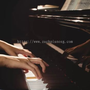 ABRSM Grade 2 Piano Lesson (Practical & Theory)