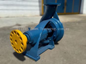 Luen Seng LS 8" x 10" Centrifugal Water Pump