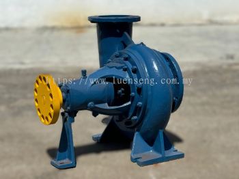 Luen Seng LS 10" x 12" Centrifugal Water Pump