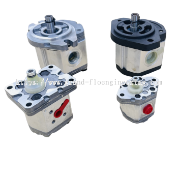 Marzocchi Gear Pump