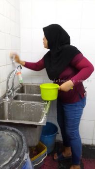 Wash and Clean Basins