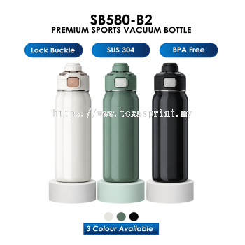 SB580-B2 - CLASSY STAINLESS STEEL BOTTLE