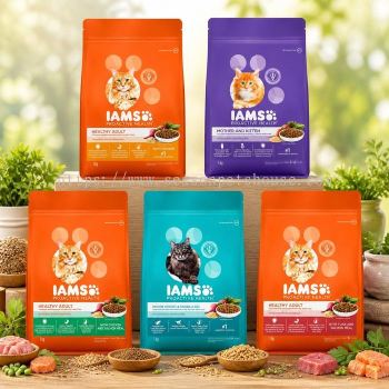 IAMS Proactive Health Cat Dry Food 1kg - Healthy Kitten & Adult Nutrition