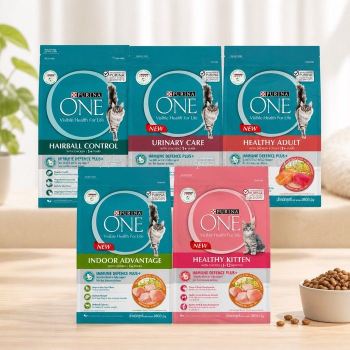 Purina ONE Cat Dry Food 1.2kg   Healthy Nutrition for Indoor Cats & Kittens