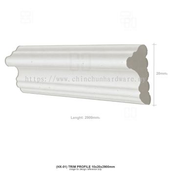 (HX-01) TRIM PROFILE 10x20x2900mm