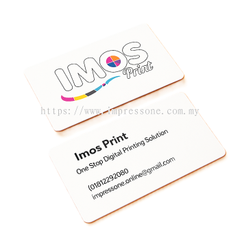Professional Business Card