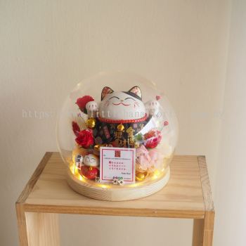 Congratulation Fat Lucky Cat LED Glass Dome