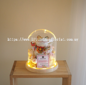 Congratulations Preserved Fortune Cat LED Glass Dome