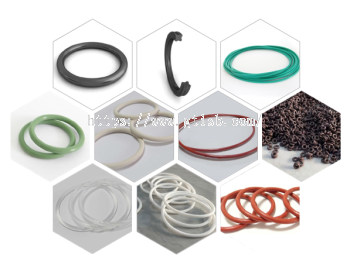 O-Ring & Seal