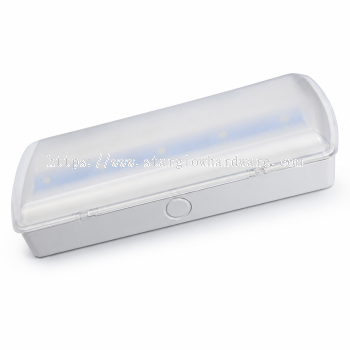 LED Emergency Lighting Luminaire